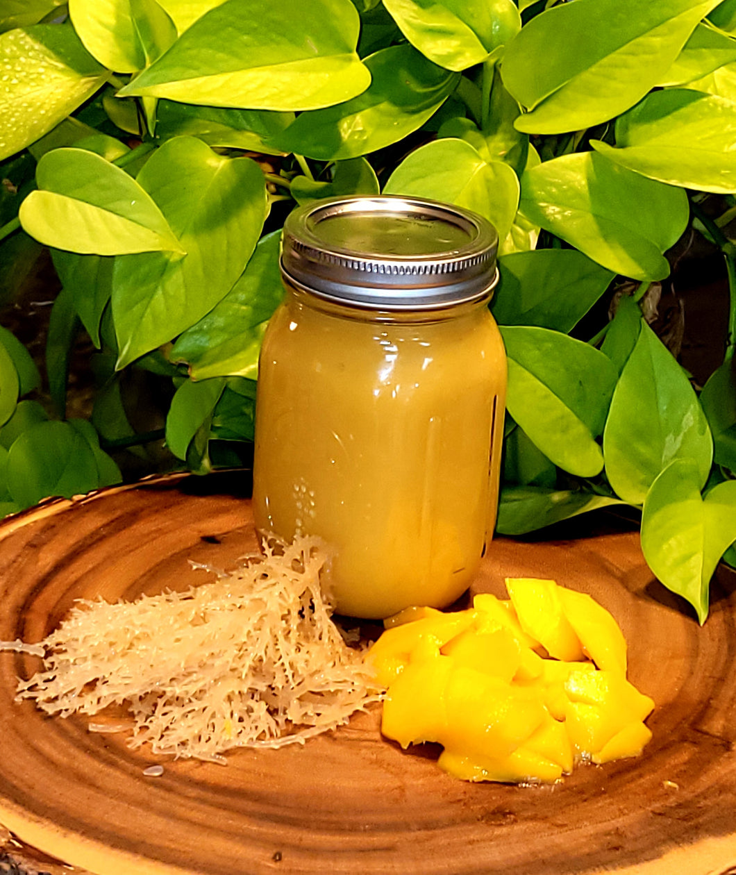 Mango Ginger and Turmeric Sea Moss - 16 oz.